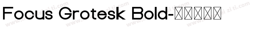 Focus Grotesk Bold字体转换